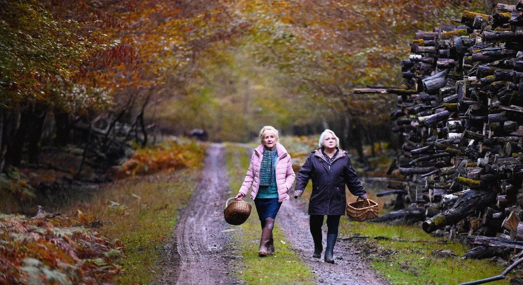 Quand vient l'automne