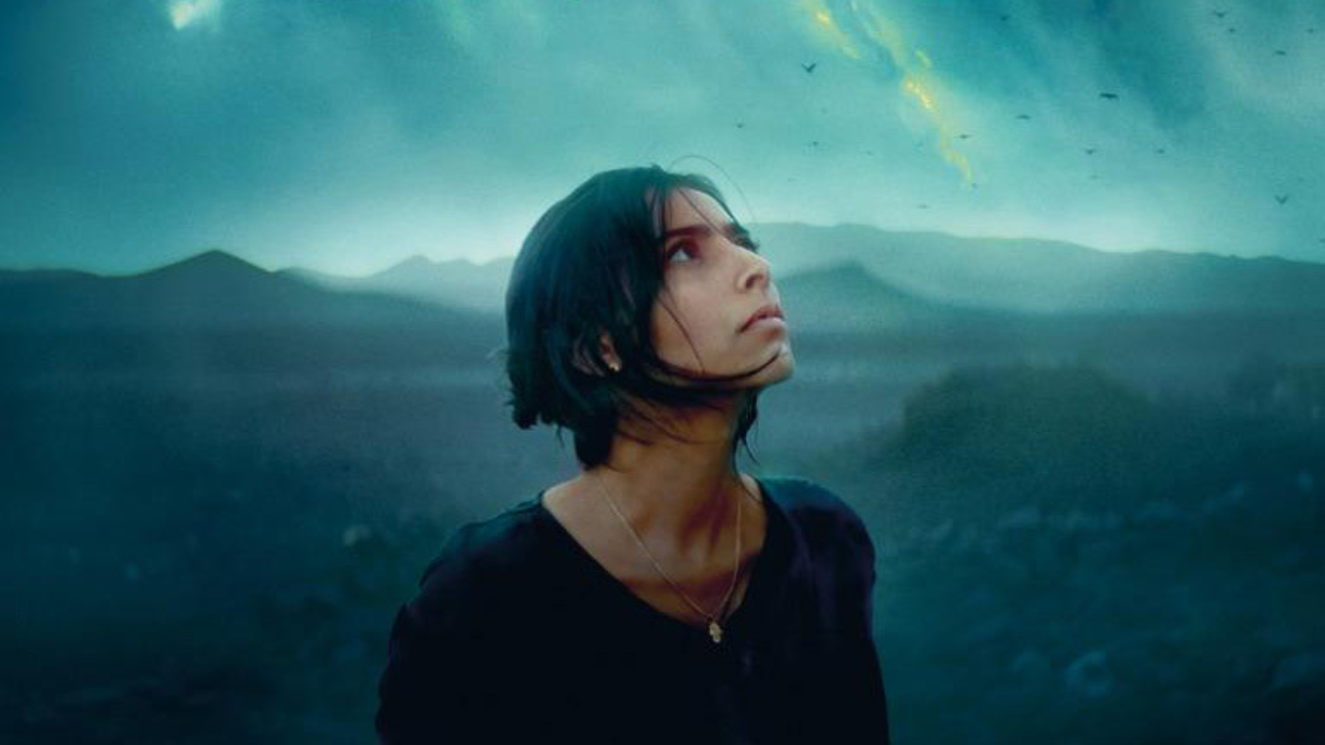 Animalia photo princinpale