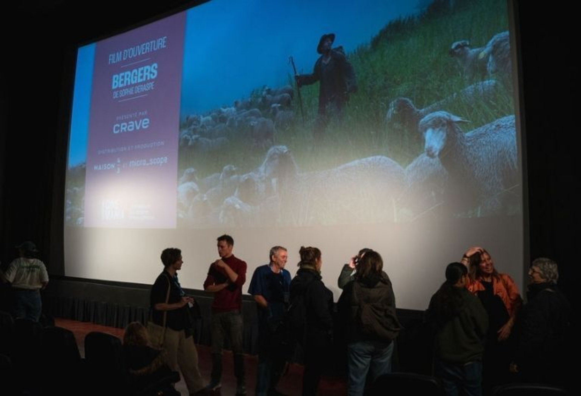 9 Projection bergers 3