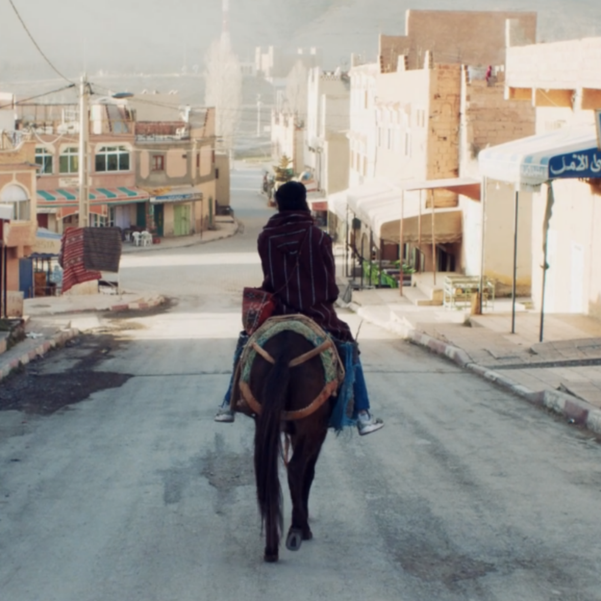 Quimporte si les bêtes meurent